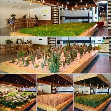 世界最有创意办公室,世界上最棒的办公室