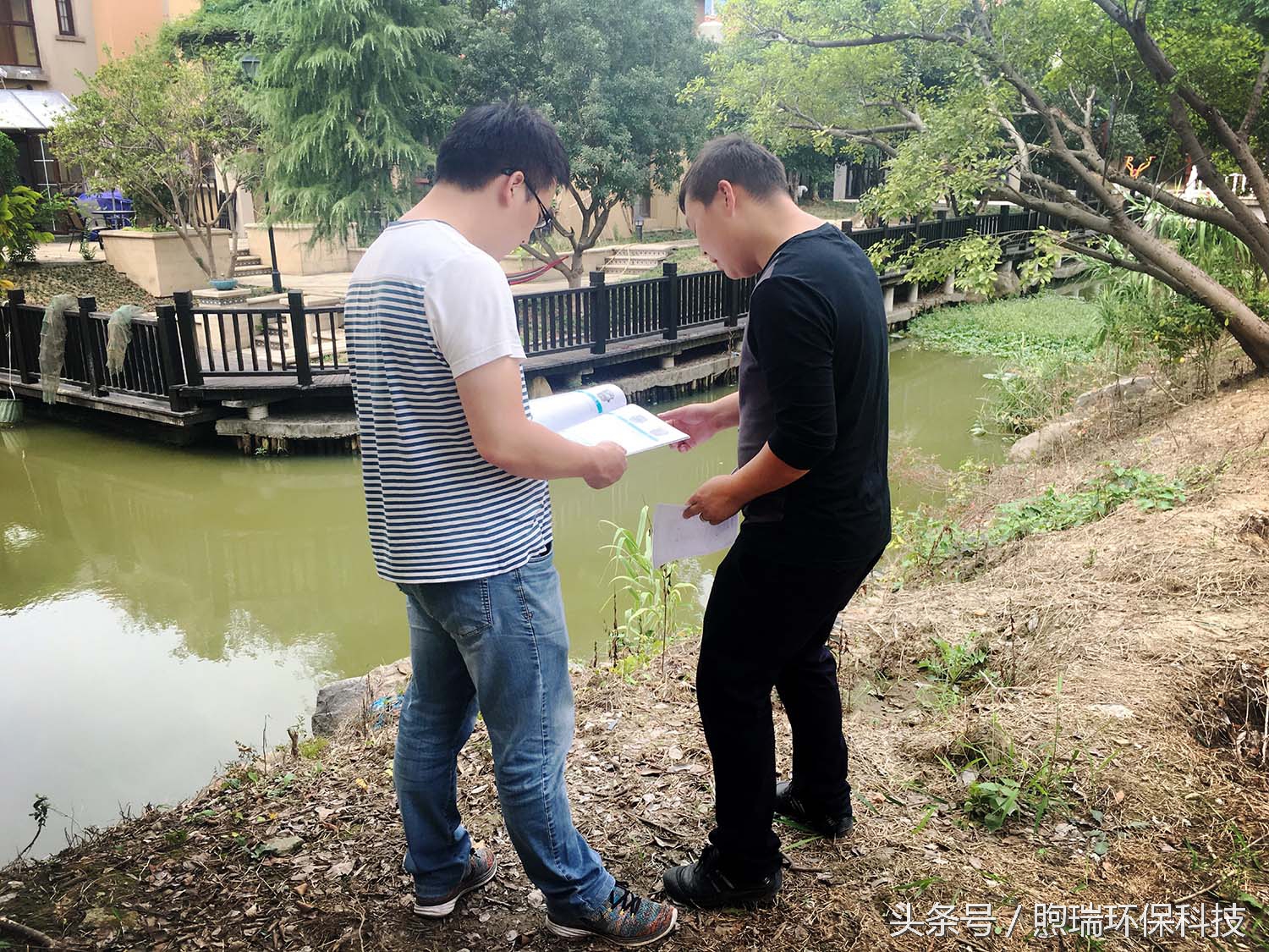 锦鲤鱼池花园庭院,最好看的长方形入户花园锦鲤鱼池