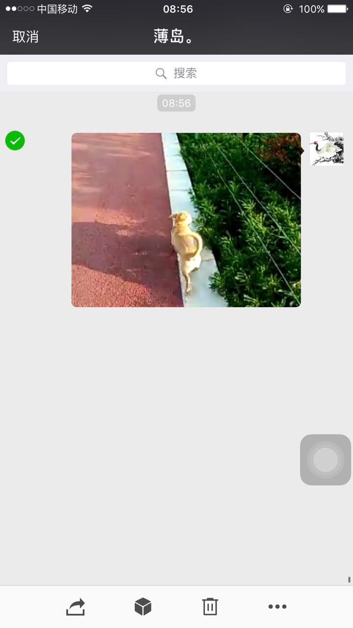 怎么保存微信朋友圈小视频,微信朋友圈小视频怎么下载到本地