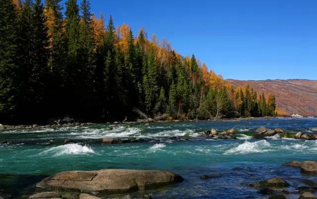 不需要知道你离世的理由，只愿你在天堂能重展笑容！