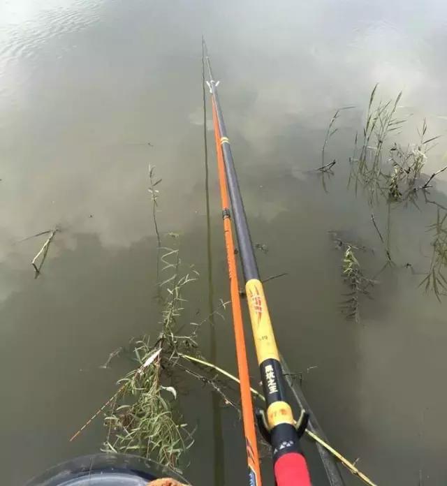 娓旇幏鎴樻姤,澶滈挀娓旇幏鎴樻姤