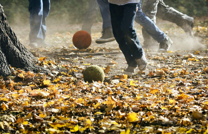 足球狗保暖吗,足球初学者的注意事项
