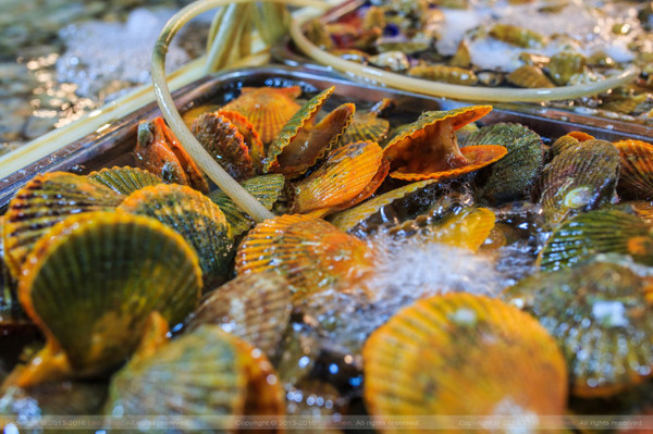 带着婚纱去三亚,带着婚纱旅行厦门