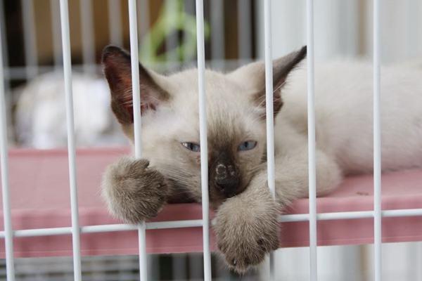 出来混迟早要还聊北汽EV150的是是非非