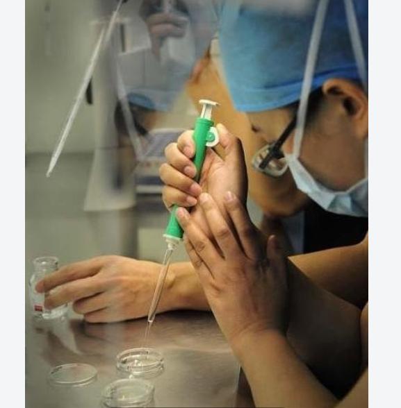 胚胎发育成熟多久可以移植,胚胎移植发展史