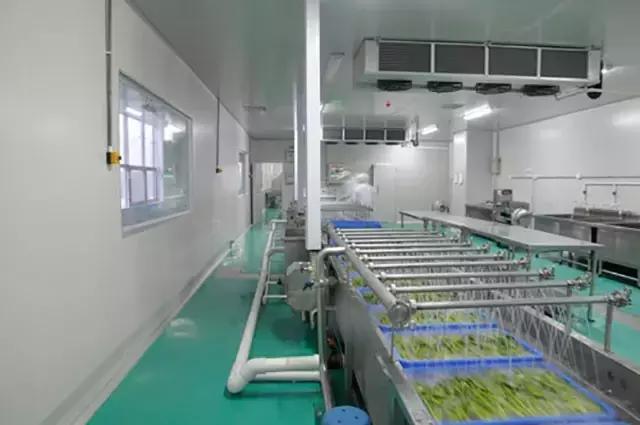 从濒临倒闭到开店500家,从火锅一哥到神话破灭