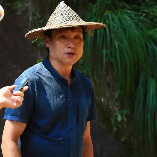 山场主人岩茶价格,山场主人岩茶