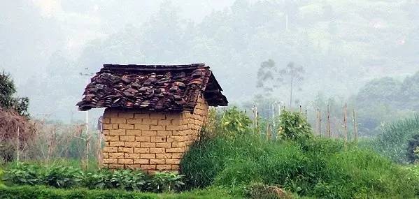 什么样的诗才是好诗阅读理解,什么样的诗才算诗