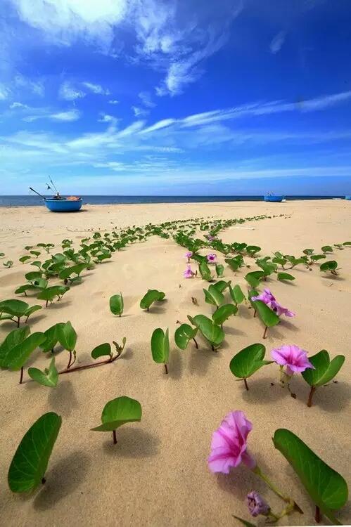 浓浓的姐妹亲情感悟,感悟亲情共度中秋