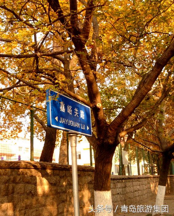 秋天来了我和爷爷奶奶逛公园,秋天八大关