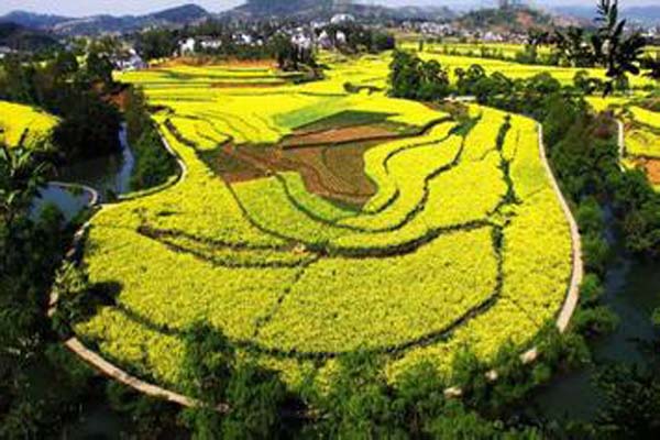 贵州人怎么称呼爸爸,贵阳人怎么称呼爷爷的上一辈