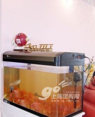 现代与怀旧的创意混搭回归内敛、实用主义的理性居室