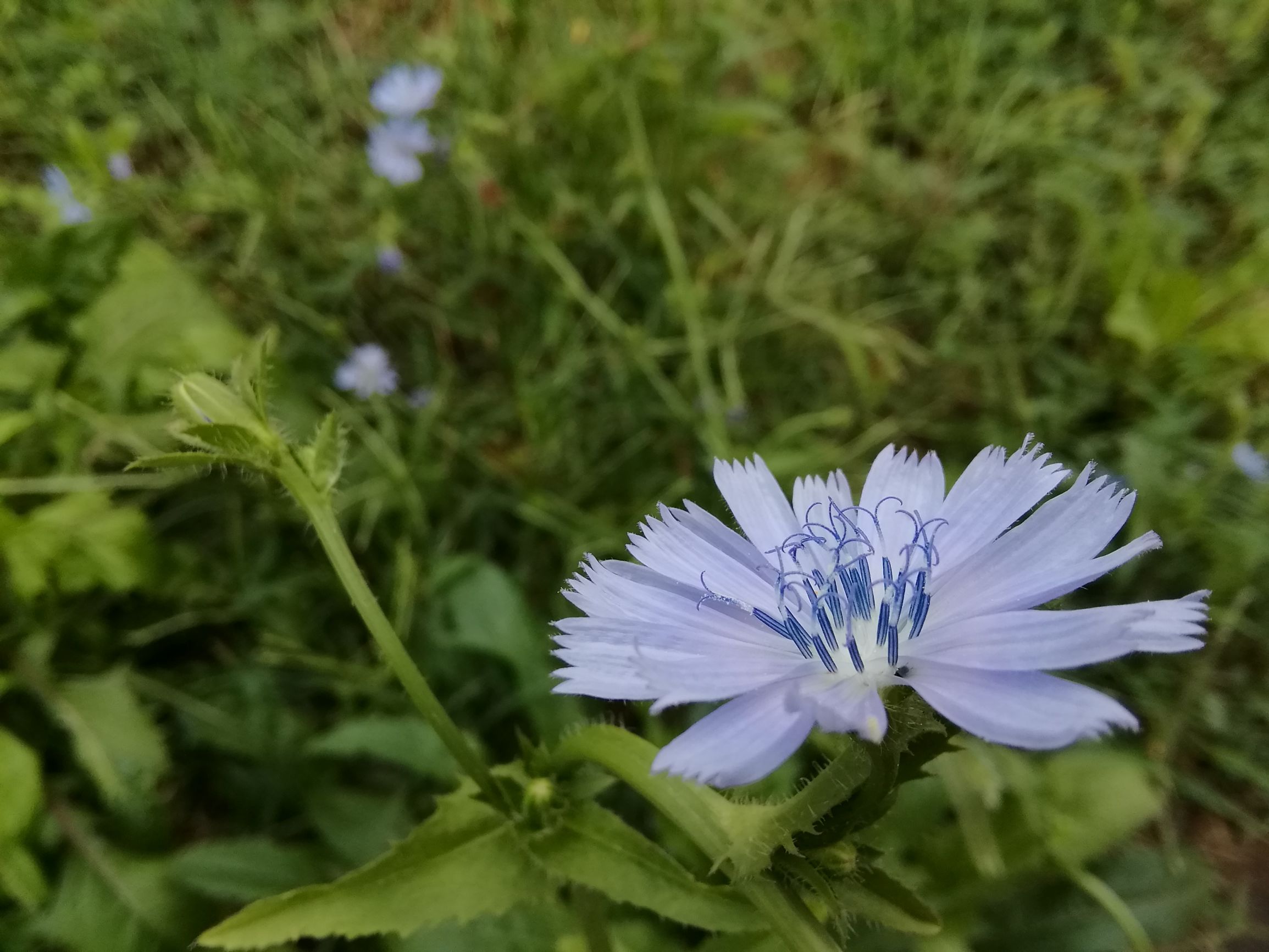 华为平板m3看视频卡吗,华为平板m3揽阅10寸