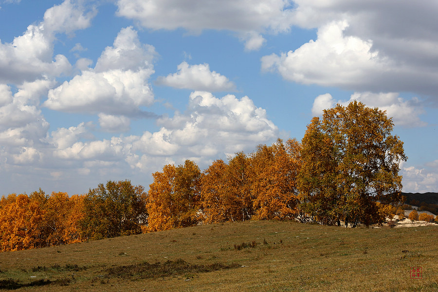 坝上草原雪景航拍,坝上草原秋景美图