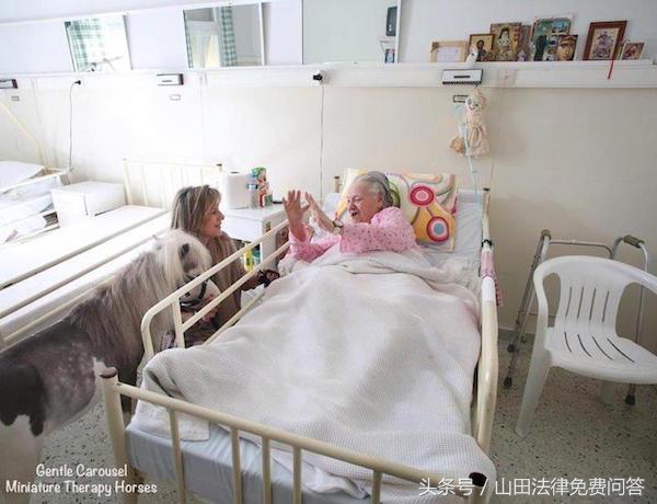 可爱迷你小马视频,超萌小马