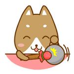 我想和你回到老上海谈一次恋爱，想想就睡不着！