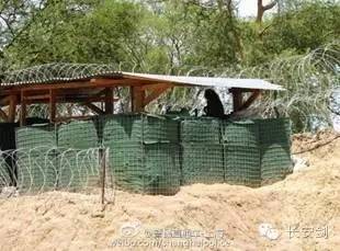 南苏丹维和故事：拯救“总指挥”“鸡毛信”营地捣乱的狒狒