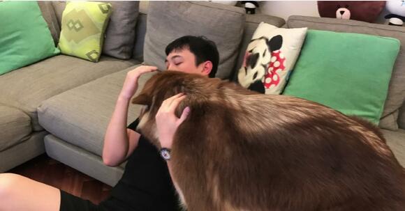 王思聪有多少个名字,王思聪的真实名字