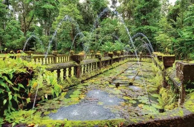 考拉、热气球和现实版的天空之城，这就是凯恩斯