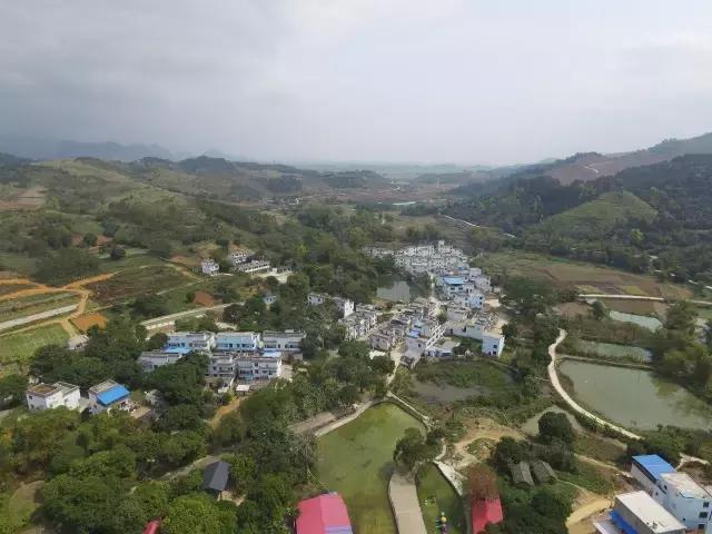 城市套路深我要回农村视频,城市套路深我要回农村dj