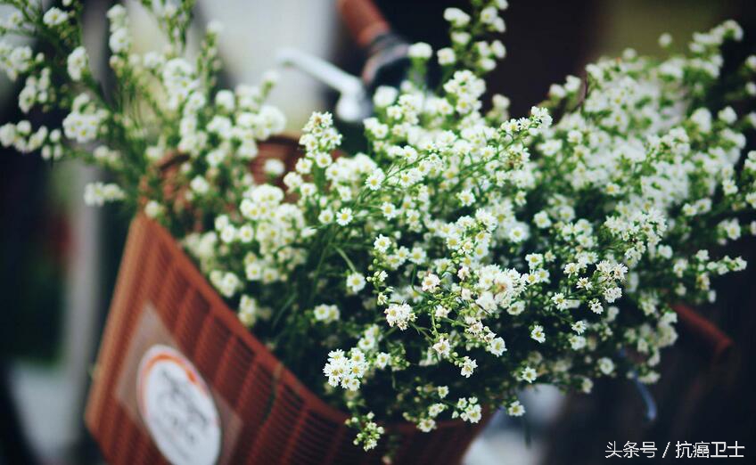 适合每一位家里有重病的人阅读:癌症老者的生死观,值得敬重!