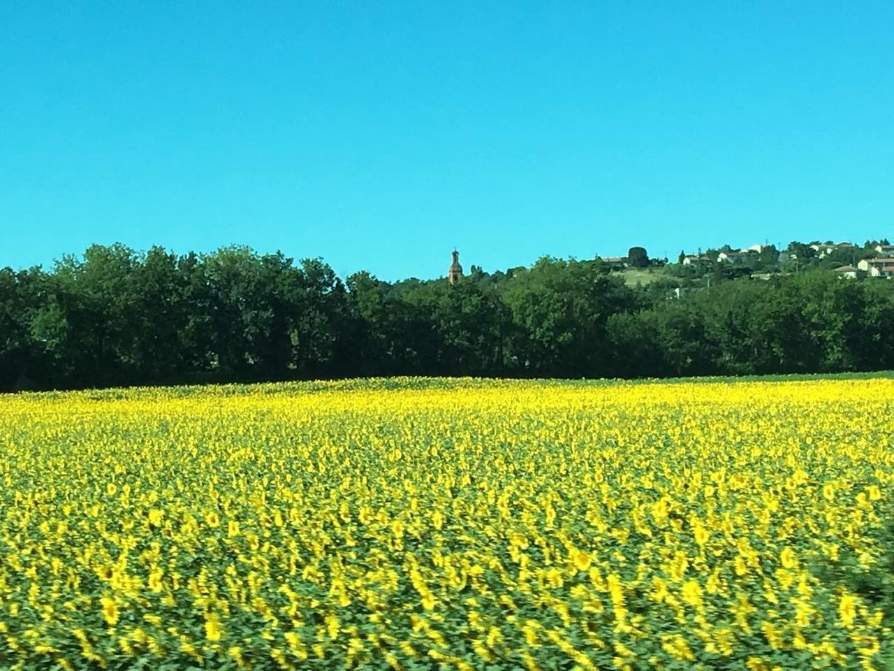 怎么自驾去欧洲旅游,自驾俄罗斯欧洲详细攻略