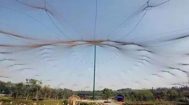 你好,我叫汉阳,这是我的新简历!