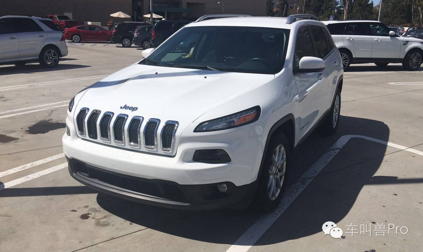 带个小拖油瓶旅游,带着两个拖油瓶