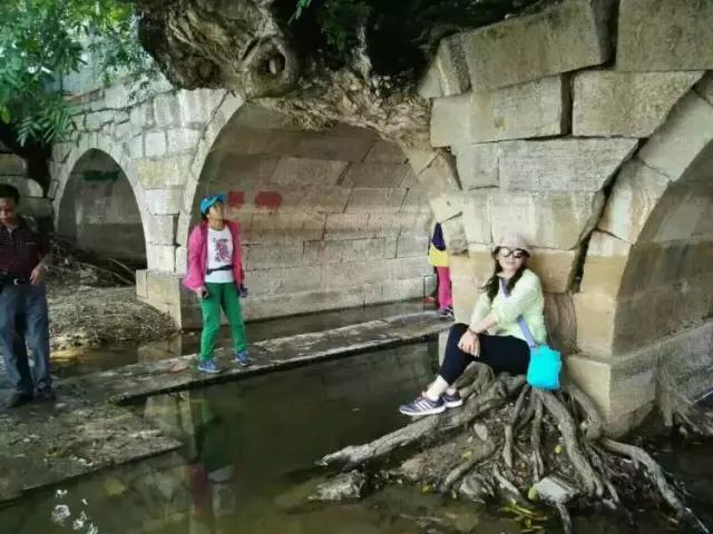 树驮桥的故事,树驮桥视频