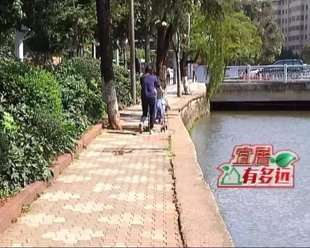 昆明和西安哪个地方宜居,昆明是宜居城市吗