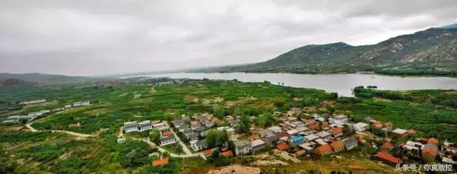 山东临沂平邑县的柿子怎么样,临沂哪里可以采摘新鲜铁皮柿子