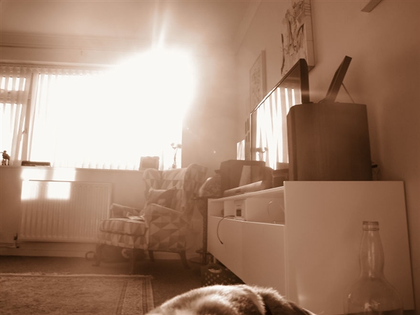 摄影师2岁宝宝拍照,最小年纪摄影师