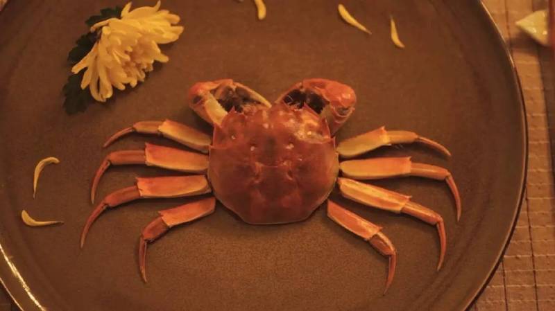 吃了一只大闸蟹的美女被新浪等各大媒体封为“螃蟹女神”