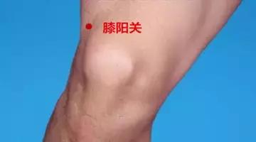 膝阳关主治,膝阳关痛用什么药