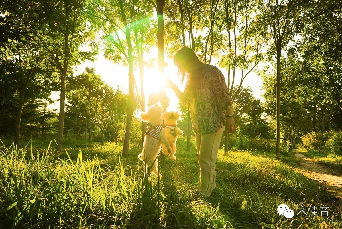 颐和园夕阳非常美的意境,北京颐和园冬天夕阳美景