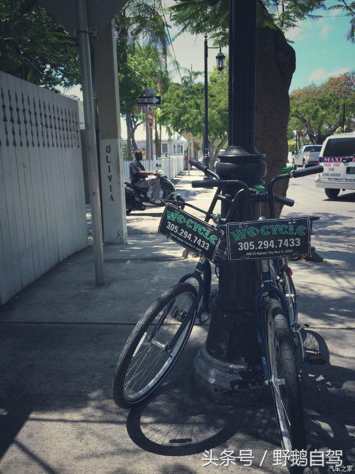野鹅旅行,野鹅自驾无人区