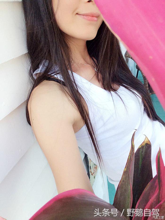 野鹅旅行,野鹅自驾无人区