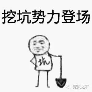 豚鼠各类饲养装备优缺点汇总之上篇