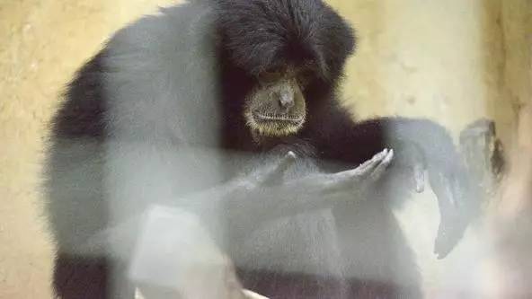 朋友圈发海边泳衣照好不好,朋友圈晒沙滩泳装