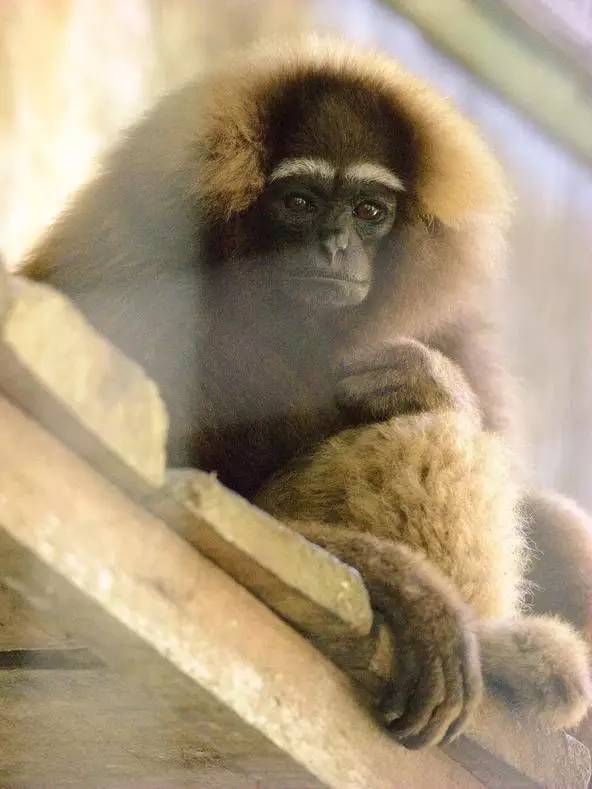 朋友圈发海边泳衣照好不好,朋友圈晒沙滩泳装