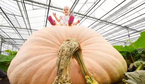 每日晨读国庆节,晨读英语美文新年快乐