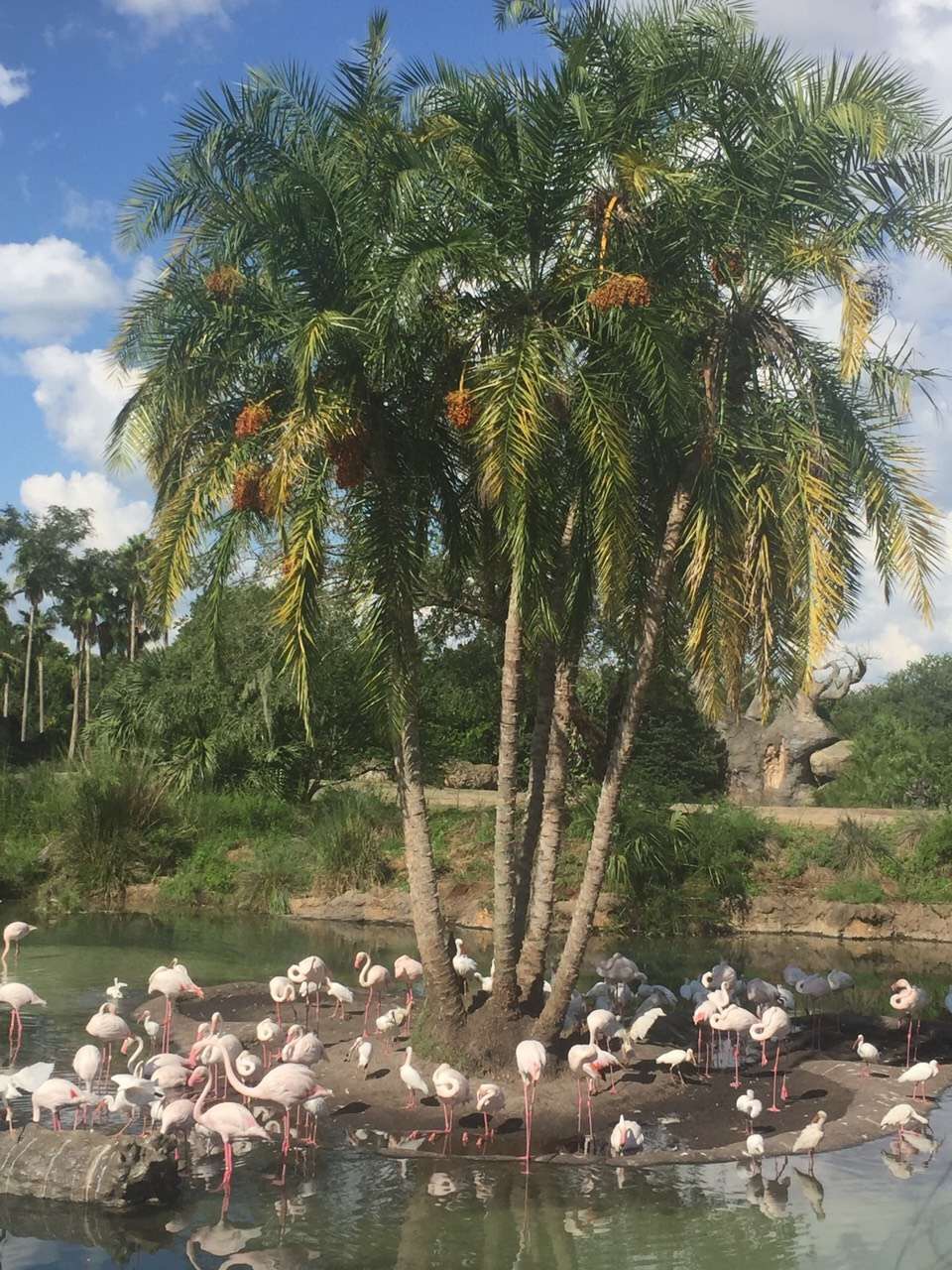 去迪士尼上班是怎样的,迪士尼工作体验