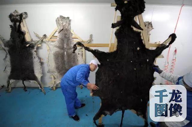 山东东阿阿胶探厂视频,探访同仁堂阿胶人民日报