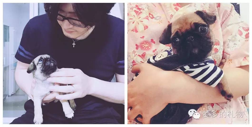 lo娘专用术语有哪些,新手lo娘应该知道的点