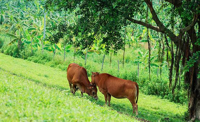 佛山十大网红景点推荐自驾游,说走就走重庆旅游攻略