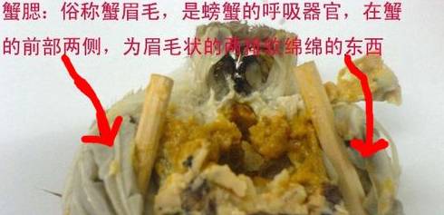 教你吃螃蟹的几个小妙招,螃蟹要蒸30几分钟怎样吃螃蟹才熟