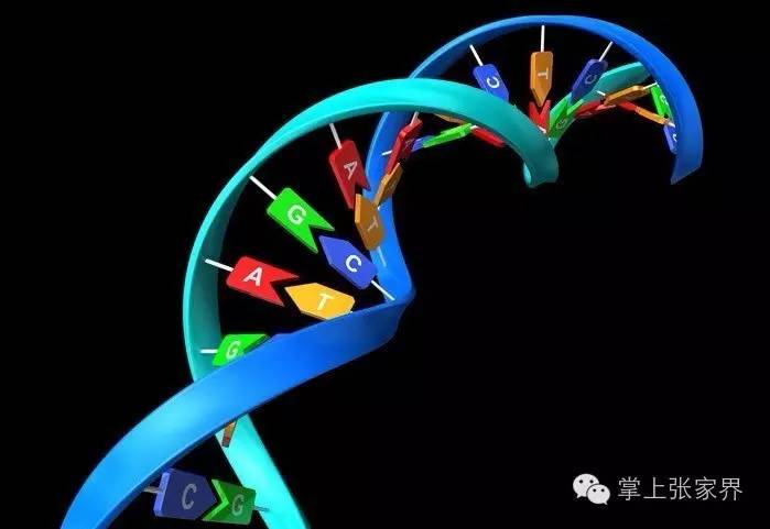 资讯市博物馆开馆半月迎参观者1.5万人/一学生获生物奥赛大奖/越野跑挑战赛，选手大呼风景太美
