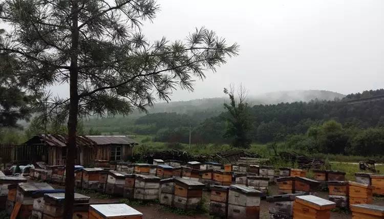 中古开箱分享,中古香水开箱