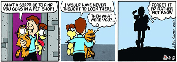 如果你是加菲，你会问吗？