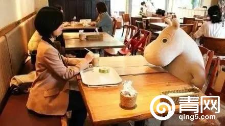 为什么去了日本旅游就不想回国,为什么去了日本就不想回国